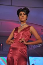 at Style statement jewellery show in Lalit Hotel, Mumbai on 5th Jan 2013 (214).JPG